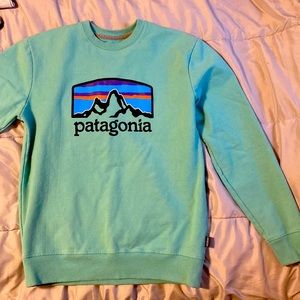 Patagonia sweatshirt